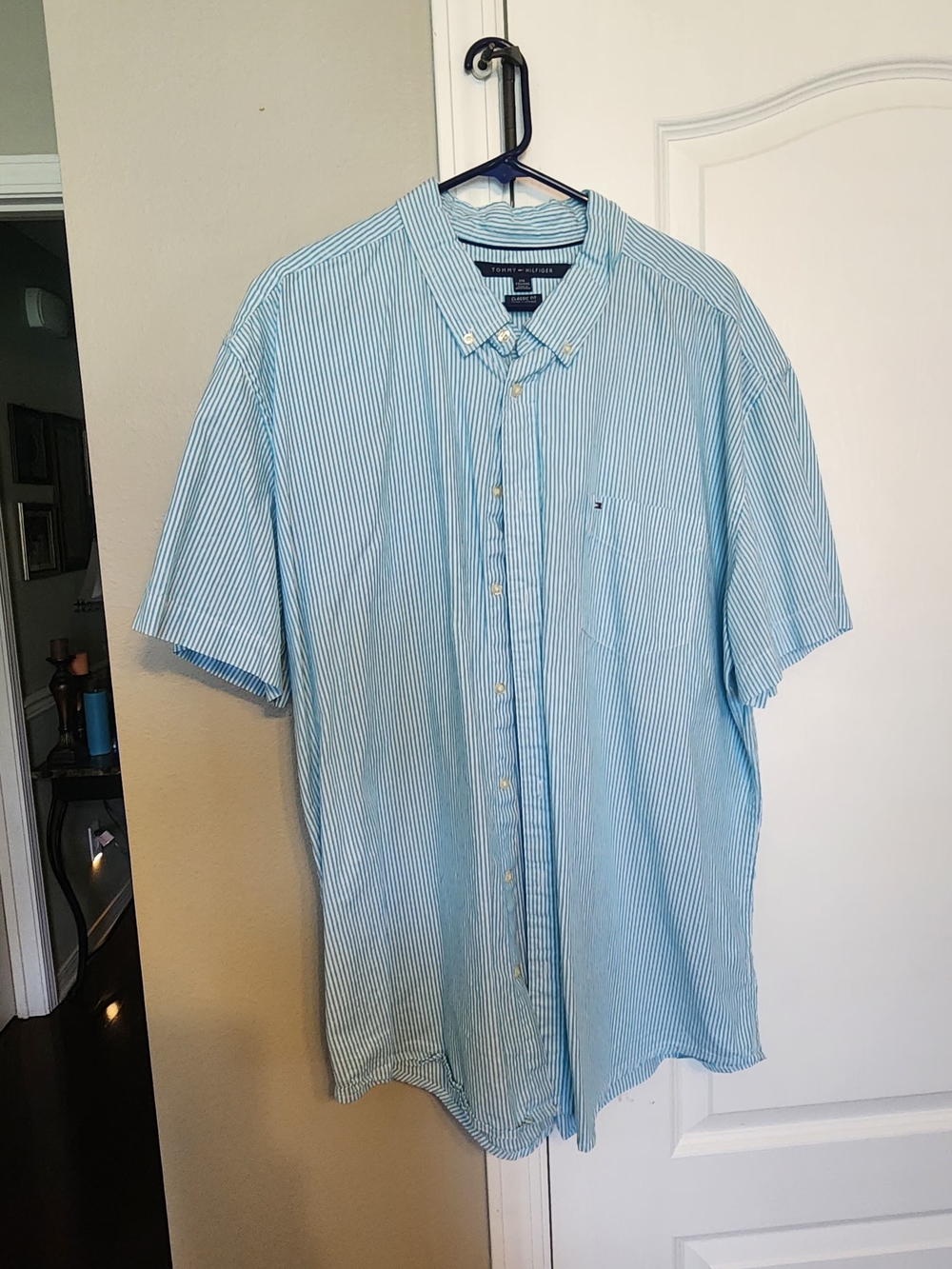 Tommy Hilfiger Blue and White Pinstripe Short-Sleeve Button-Down Shirt